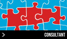 consultant